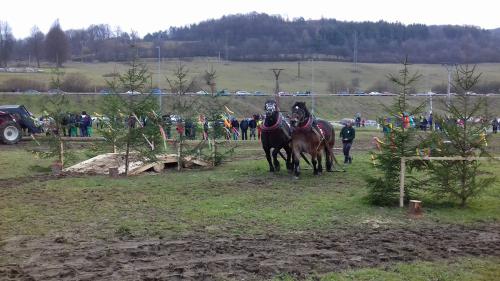 Furmanské preteky - 2. ročník - 13. január 2018