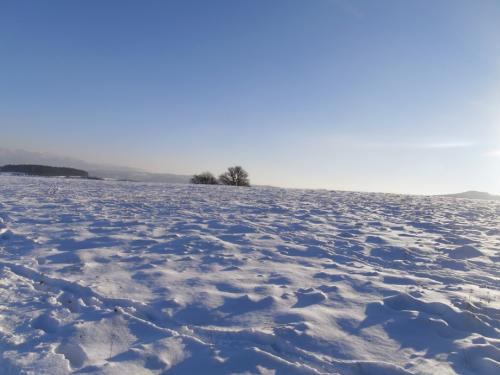 Trojkráľový výstup na Zbišov - I. ročník - 6.1.2015